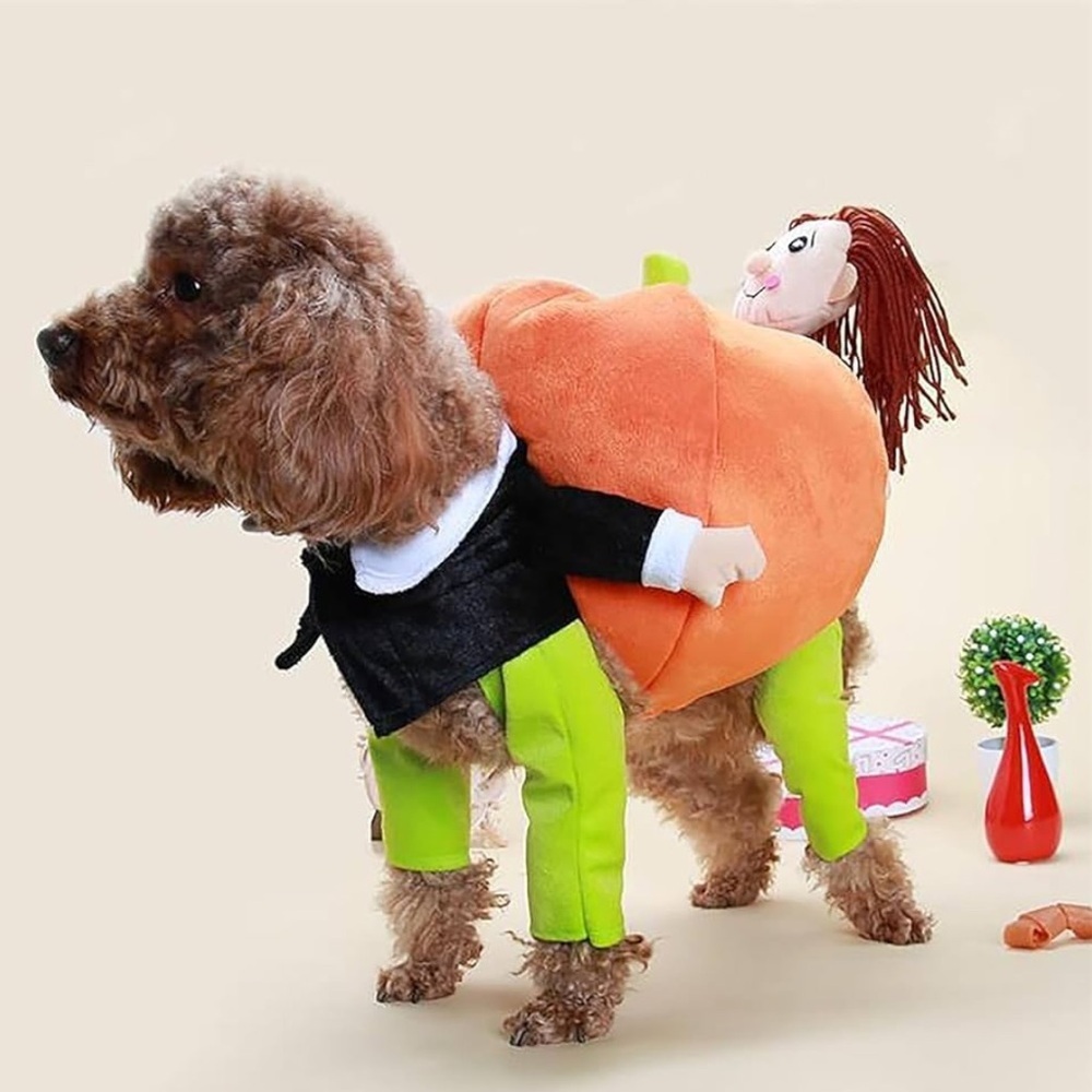 Pet Halloween costume XXlarge - Picture 4 of 13